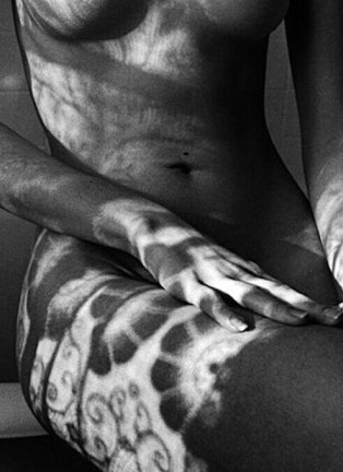 1013772_737311629675908_5721451050828947692_n